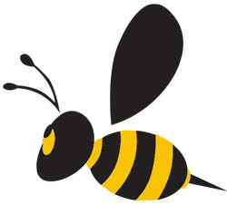 bee removal sarasota florida