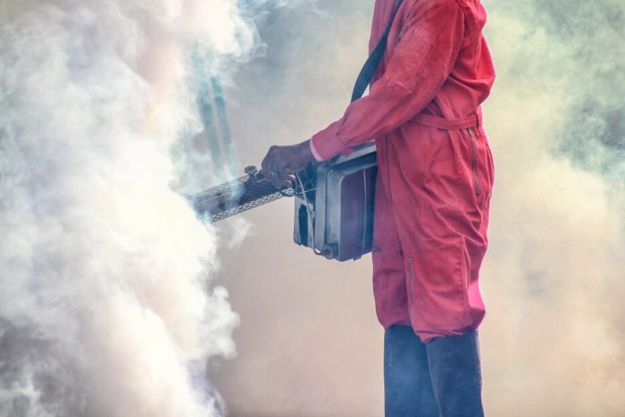 Does Fumigation Ruin Your Stuff