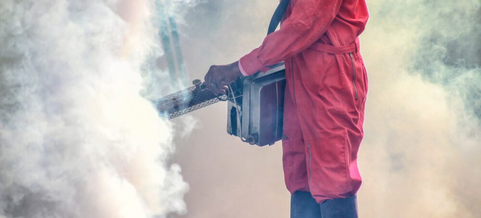 Does Fumigation Ruin Your Stuff