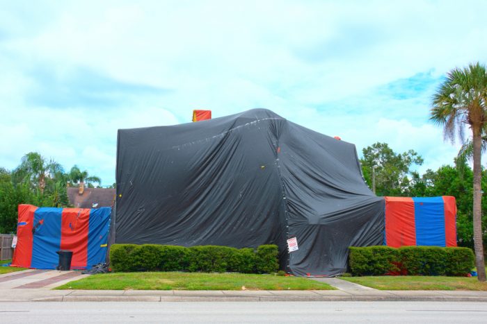 Does Tenting Kill Cockroaches?