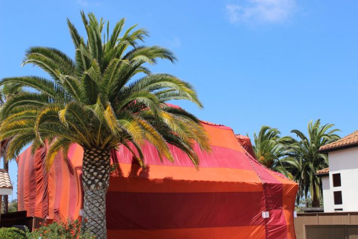 How Long Does Tent Fumigation Last