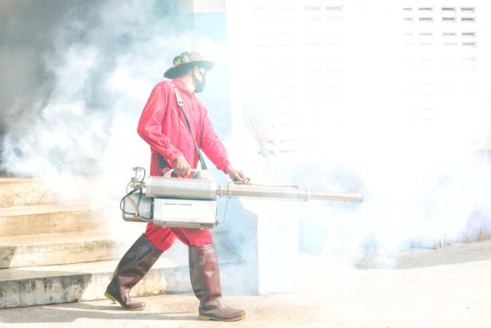 How Long Should You Stay Out Of House After Fumigation