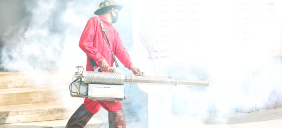 How Long Should You Stay Out Of House After Fumigation