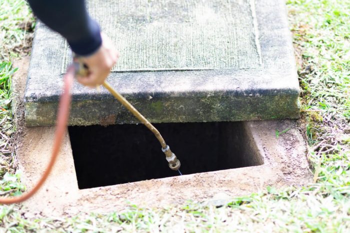 Will Fumigation Kill Spiders