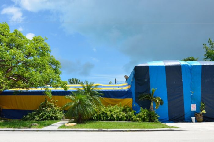 tent fumigation answers