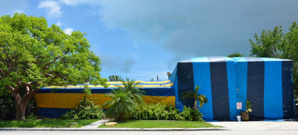 tent fumigation answers