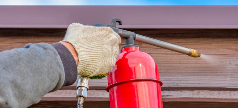 Can you treat termites on your own