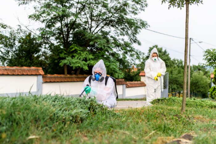 Florida Termite F.A.Q.'s