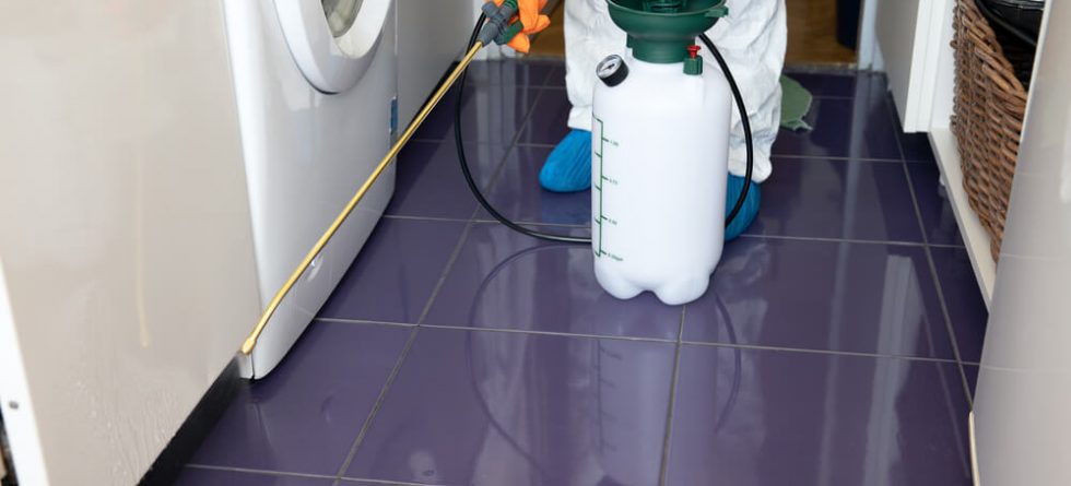 How much does treating termites cost