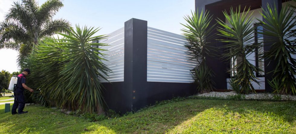 Is it OK to have termites in your yard