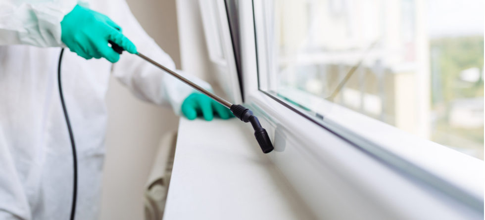 Are Windows Left Open During Fumigation?