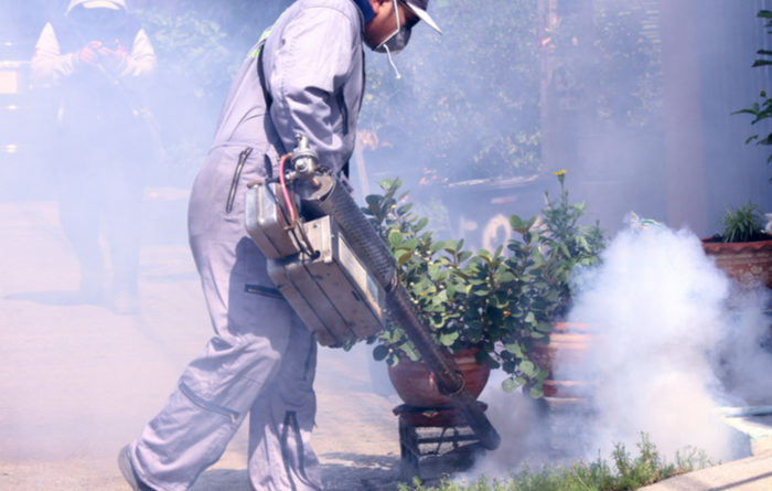 Can Fumigation Make You Sick?