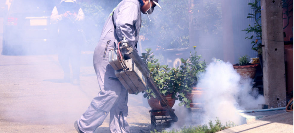 Can Fumigation Make You Sick?