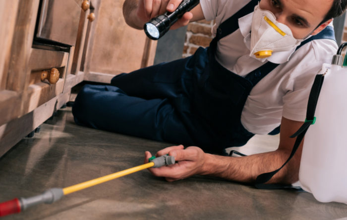 Can I Fumigate My House Myself?