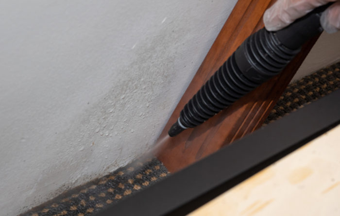 Can I Sleep In My Bed After Bed Bug Treatment?