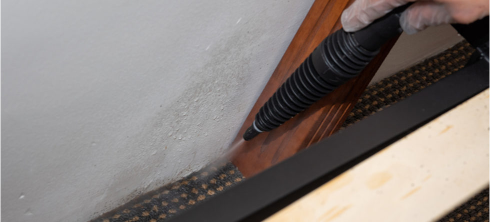 Can I Sleep In My Bed After Bed Bug Treatment?