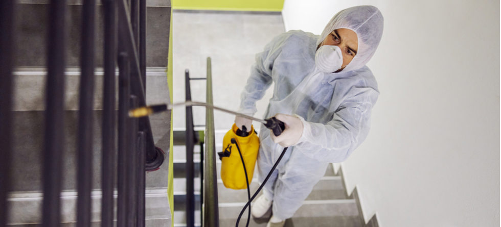 How Long After Fumigation Is It Safe?