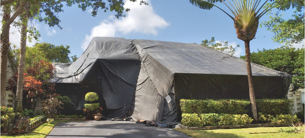 How Long After Termite Fumigation Is It Safe To Return Home?
