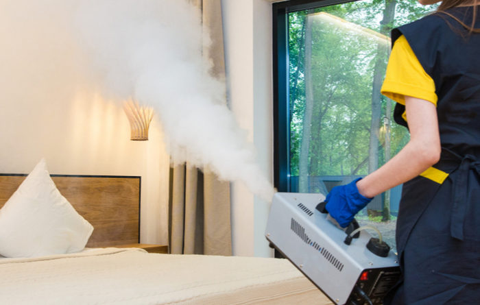 How Long Do Bed Bugs Live After Fumigation?