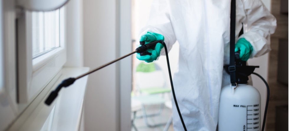 How Long Do Pesticides Stay In Your Body?