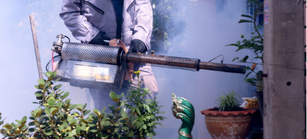 How Long Does Fumigation Smell Last?