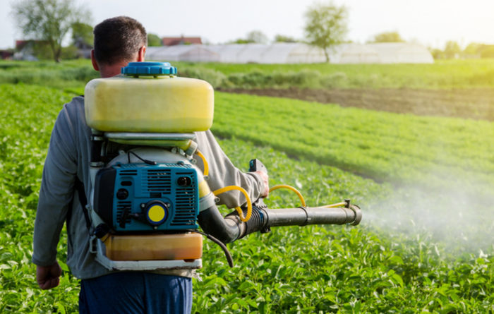 How Long Does Fumigation Take?