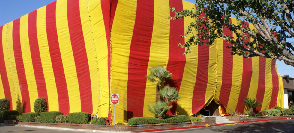 How Much Does It Cost To Tent A House For Bed Bugs?