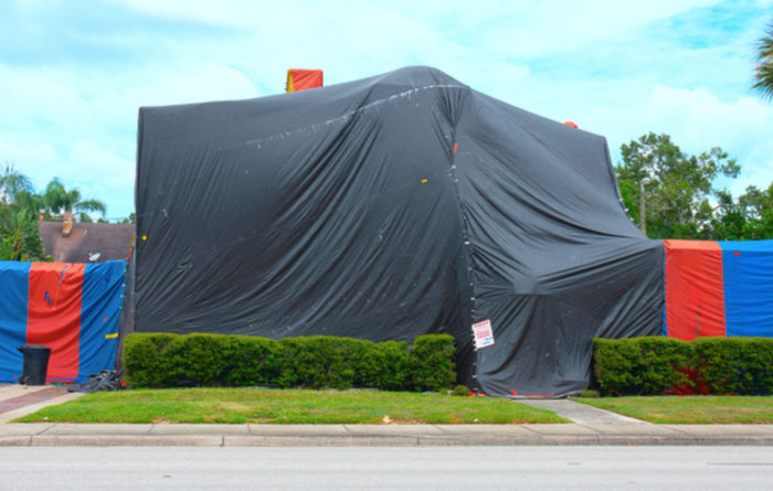 How Much Does It Cost To Tent A House For Cockroaches?