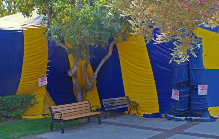 How Much Does Tenting Your House Cost?