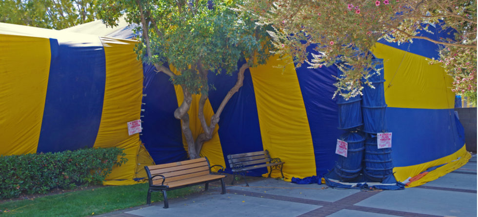 How Much Does Tenting Your House Cost?