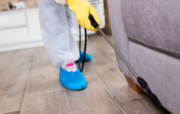 Is It Safe To Wear Clothes After Fumigation?