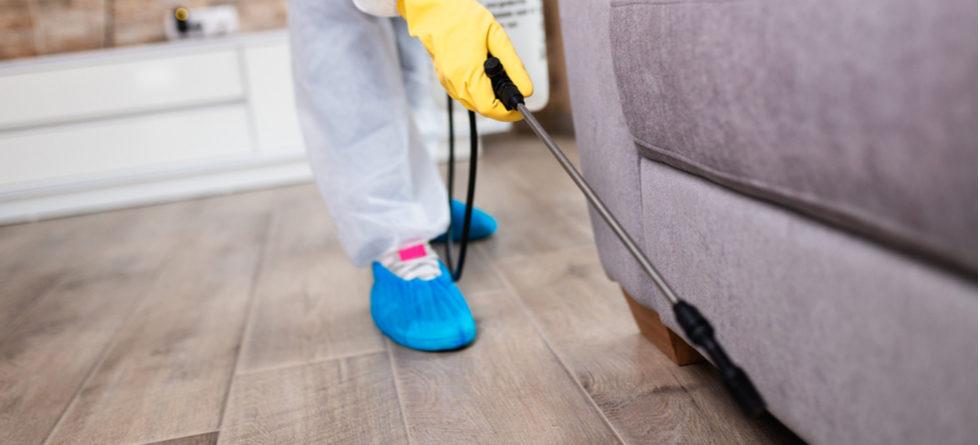 Is It Safe To Wear Clothes After Fumigation?