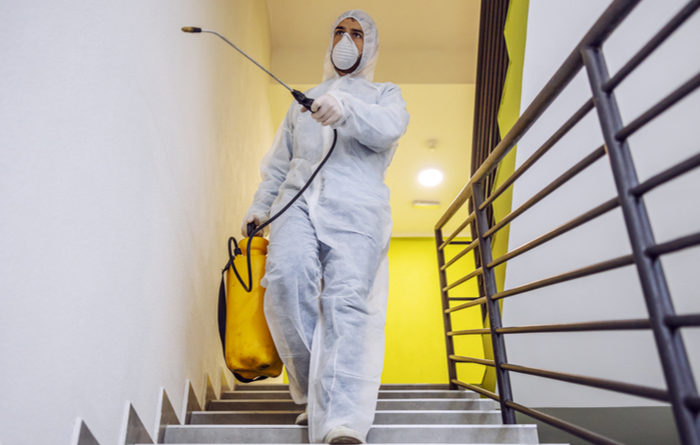 Should You Bag Clothes For Fumigation?