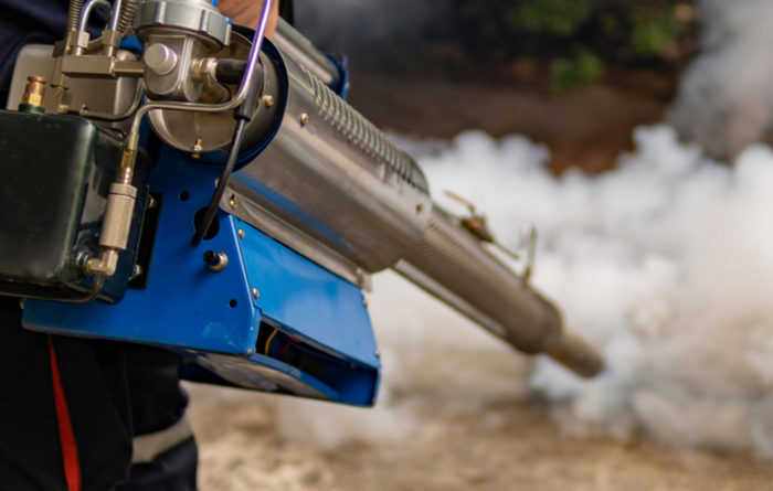 What Does Fumigation Smell Like?