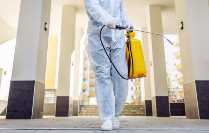 When Should I Fumigate My House?