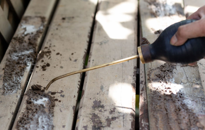 Will vinegar kill termites?