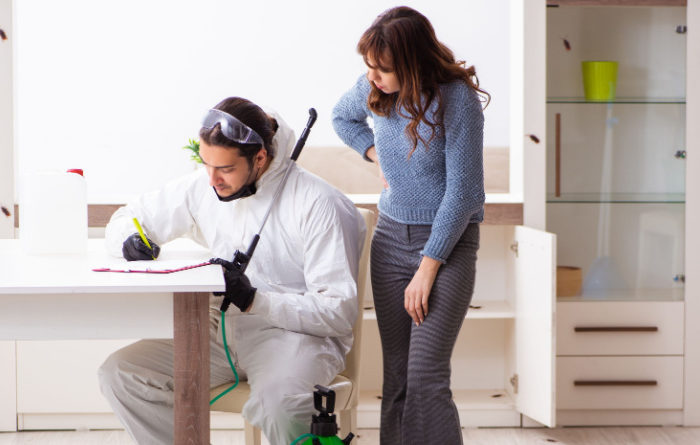 Are termite contracts worth it?