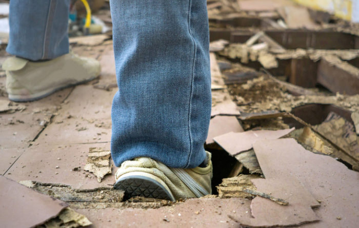 Can a termite infested house be saved?