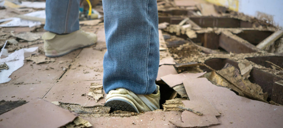 Can a termite infested house be saved?