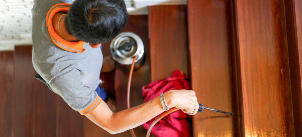 Can you treat for termites yourself?