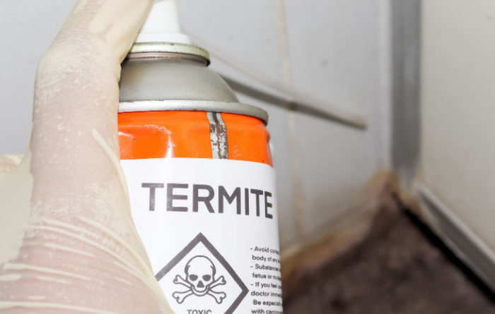 Does bleach kill termites?