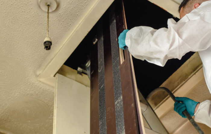 Does painting wood prevent termites?