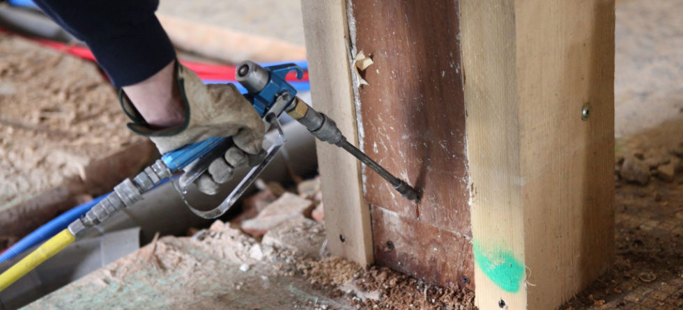 How do you stop termites from spreading?