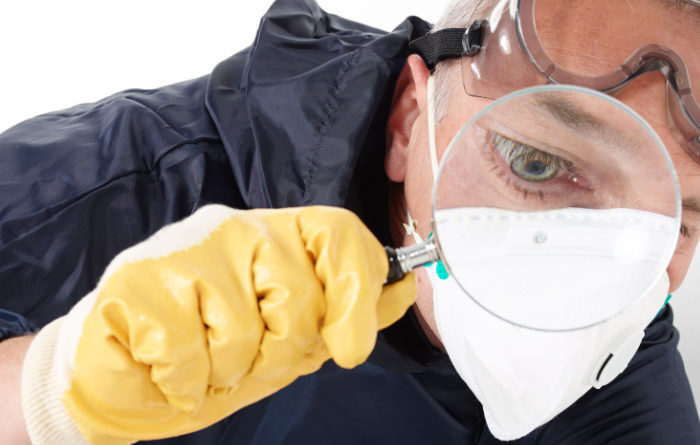 How do you tell if you have termites in your walls?