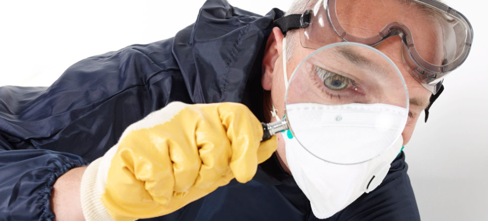 How do you tell if you have termites in your walls?