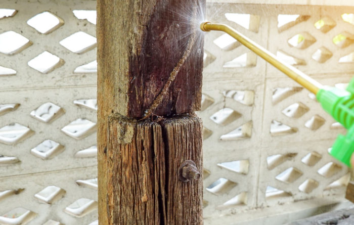 How does vinegar get rid of termites?