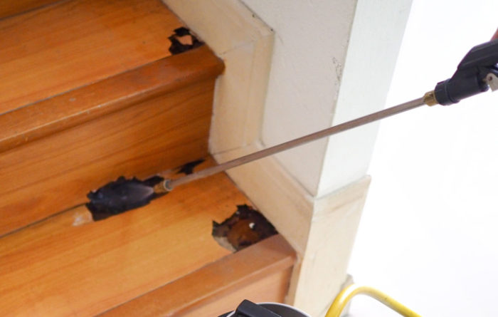 How long does a termite treatment last?