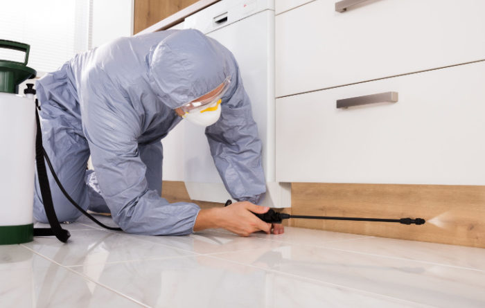 How much does Terminix charge for termite treatment?