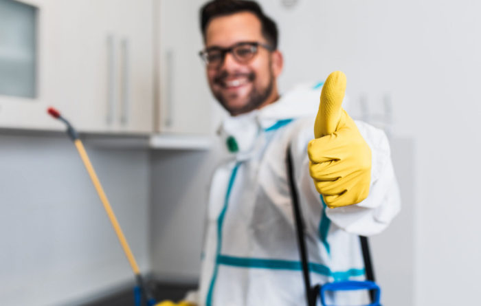 Is it worth getting an exterminator?