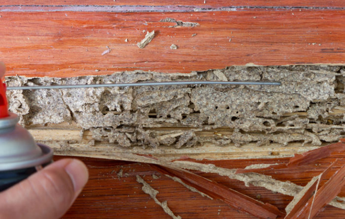What can I spray on wood to keep termites away?